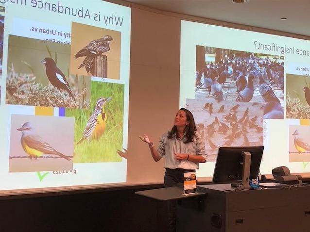 Cameron Kennedy, Evolutionary Biology & Ecology: "The Effect of Urban Landscapes on Grassland Bird Species Diversity and Richness in a Rapidly Urbanizing Area"